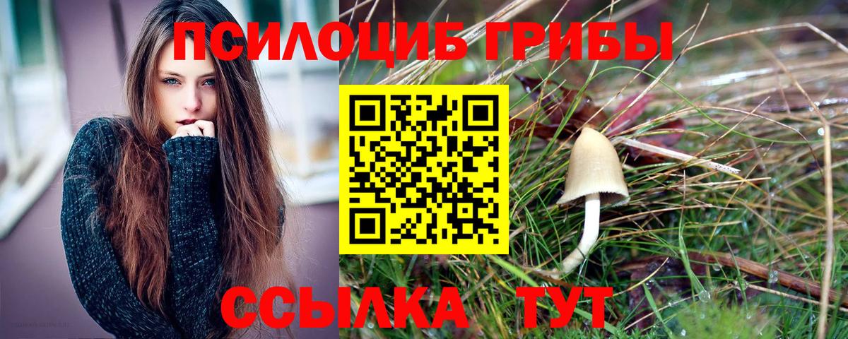 Псилоцибиновые грибы прущие грибы Кулебаки